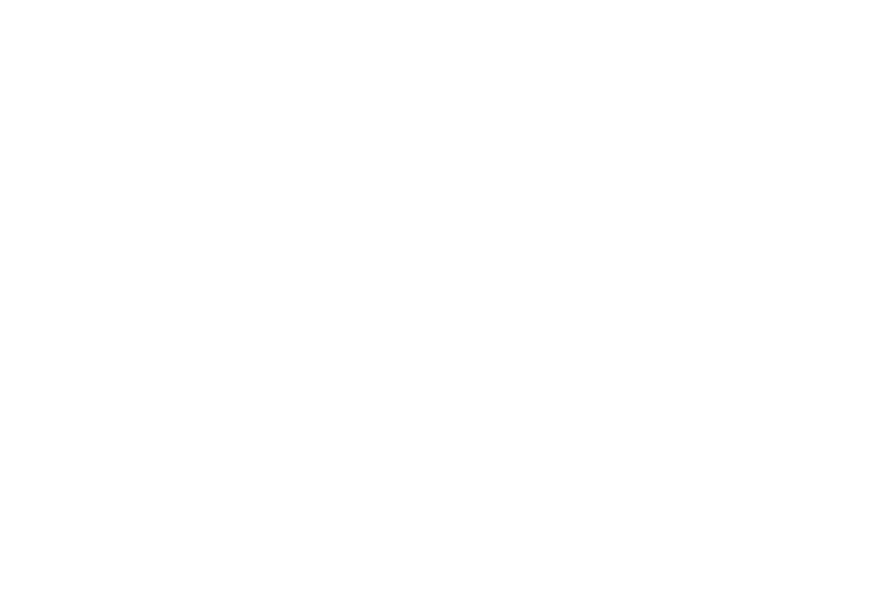 Specifications wARRIOR