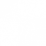 icon-customise-05-280x280